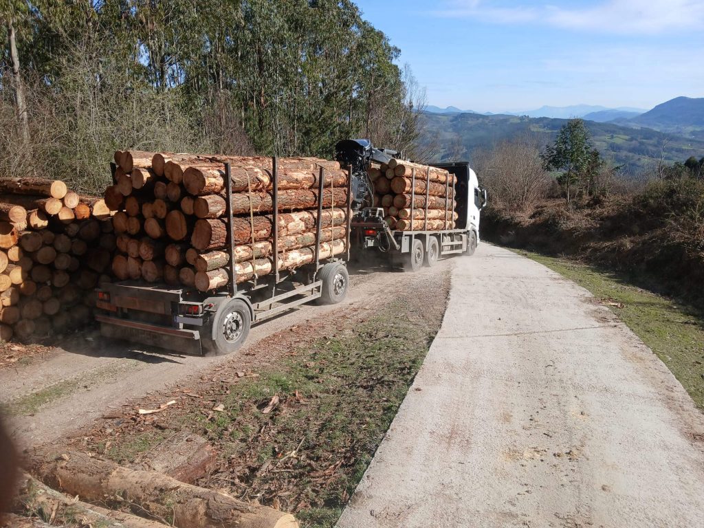 Transportes Maximo Gomez Lavin 02