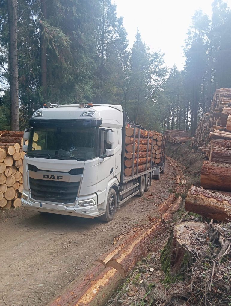 Transportes Maximo Gomez Lavin 03
